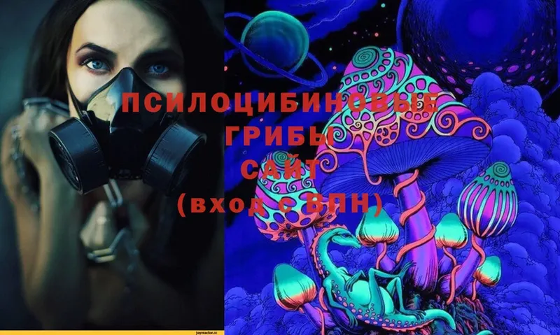 Галлюциногенные грибы Magic Shrooms  где можно купить   Бугуруслан 